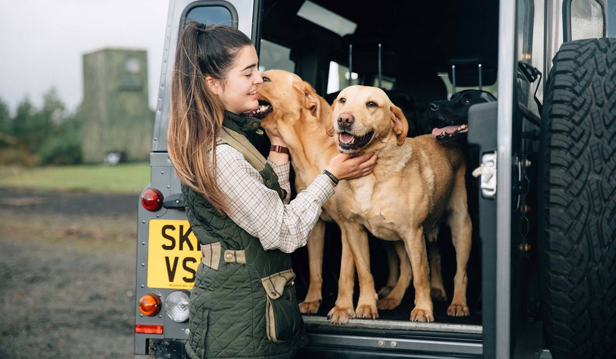 A young gun dog handler pets her labradors sat in the back of a Land Rover