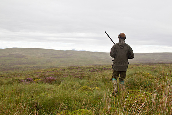 a man with shotgun in hand walks across a grouse moor