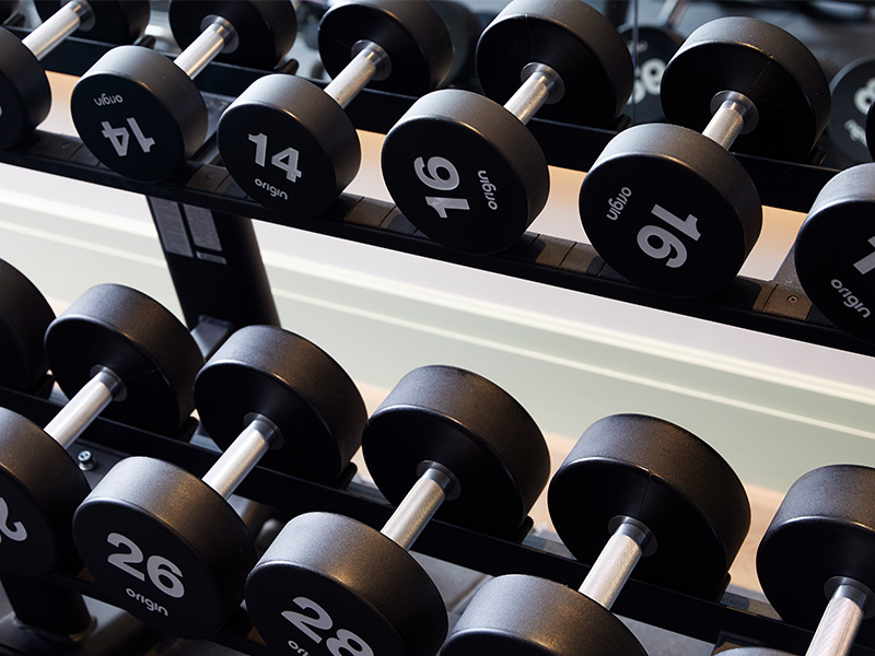 a selection of dumbbell weights
