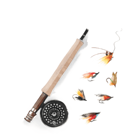 watercolour of a fly rod and flys