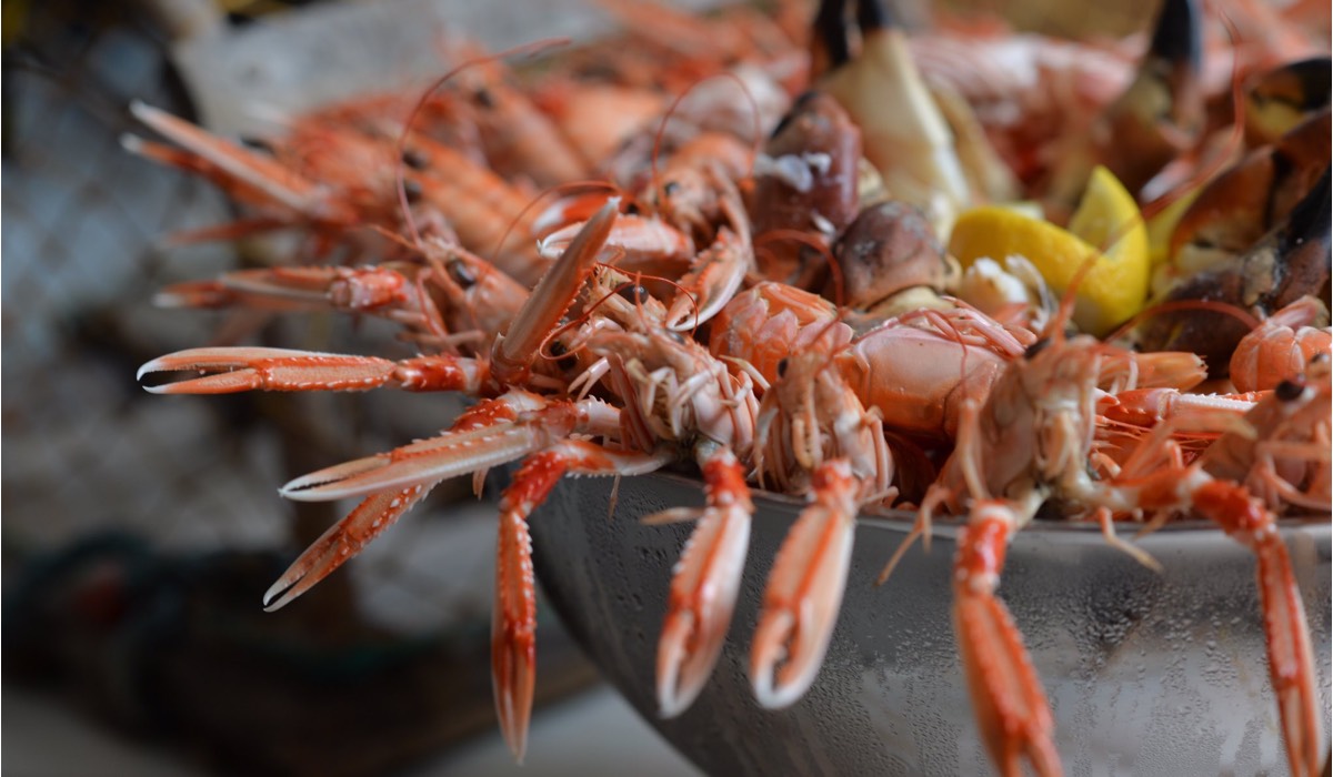Cooked langoustine and crab on ice in a silver bowl