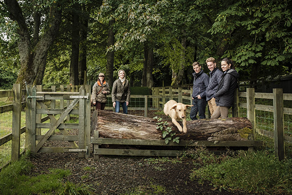 A group watching a labrador jump over a fallen tree in a fieldcraft lesson