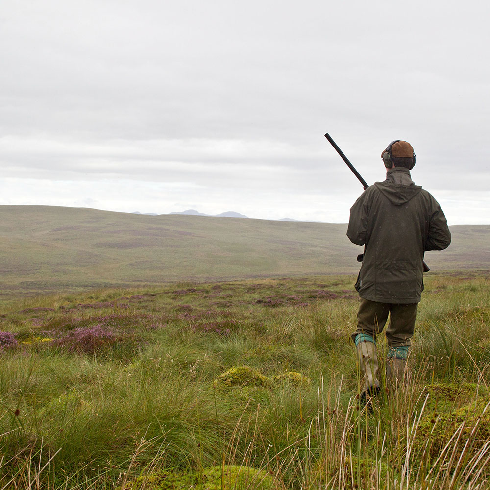 A man walking across a moor with a shotgun