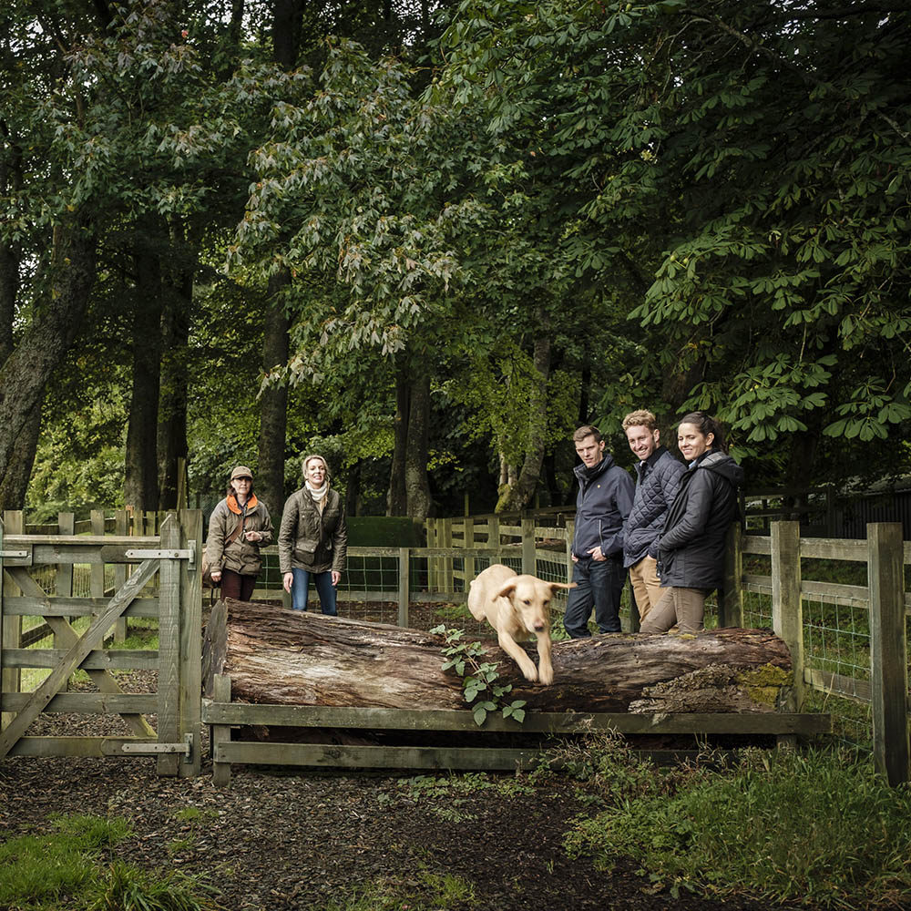 A group of people watch a sundog jumping over a fallen tree