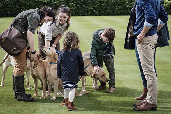 Young children being show the labradors by gundog instructors