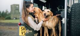 A smiling female gundog instructor pats her dogs in the back of an off-road vehicle