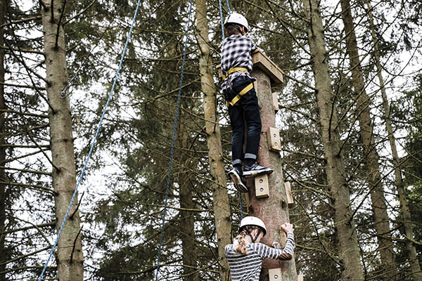 Two children wearing harnesses and helmets make their way up a purpose built tree climbing course