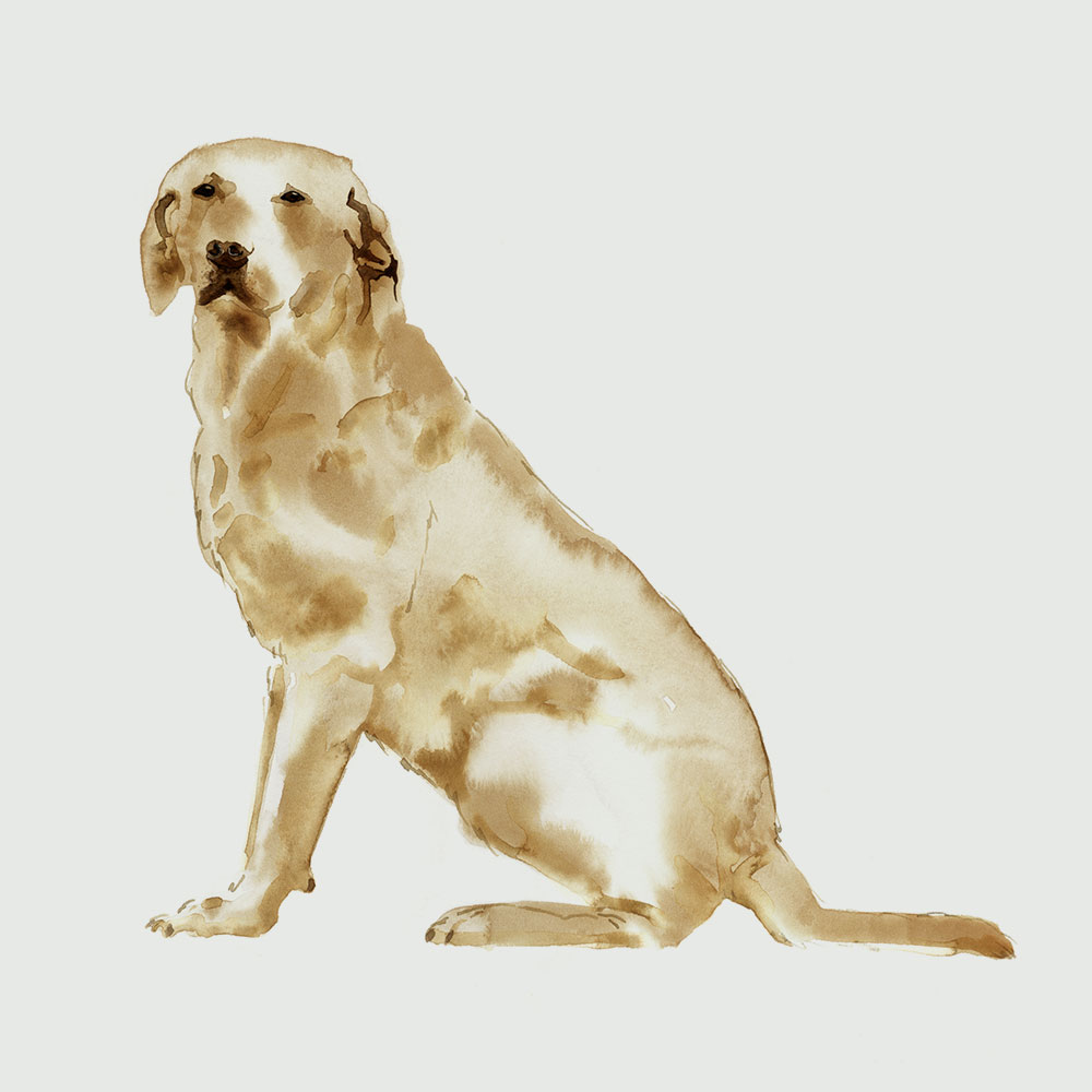 Gundogs-Anfrage