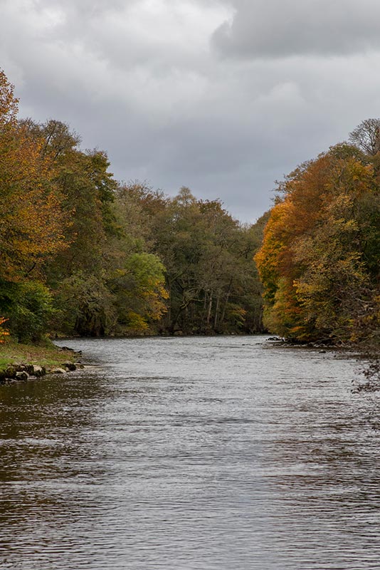 The River Tay in autumn
