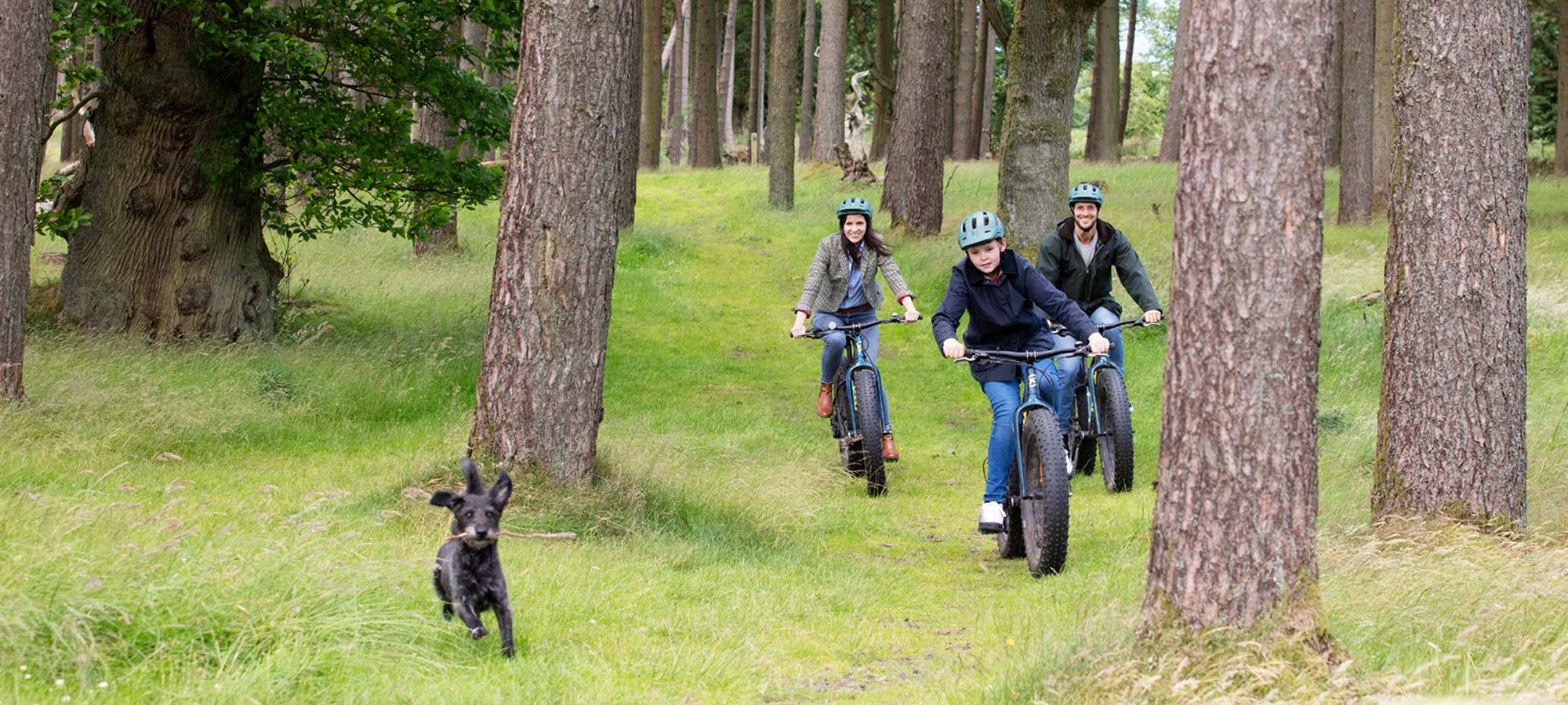 A family cycling on fat bikes through some woods at Gleneagles with their dog