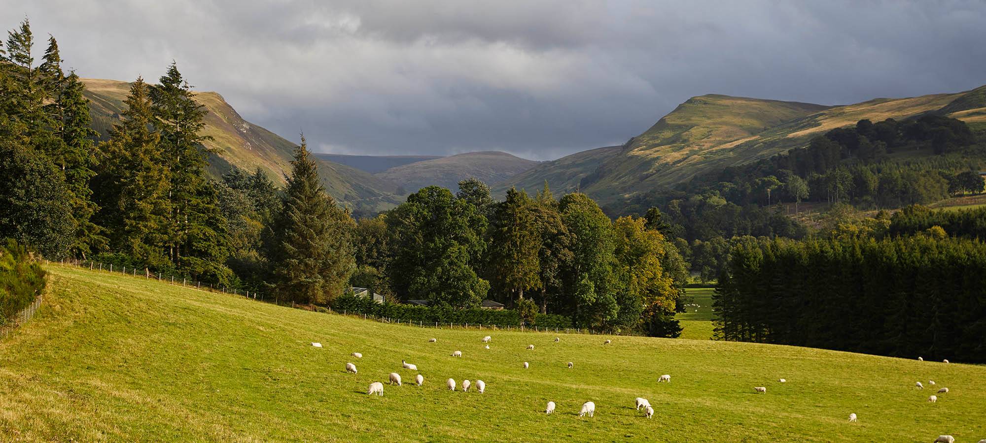 Le Glendevon