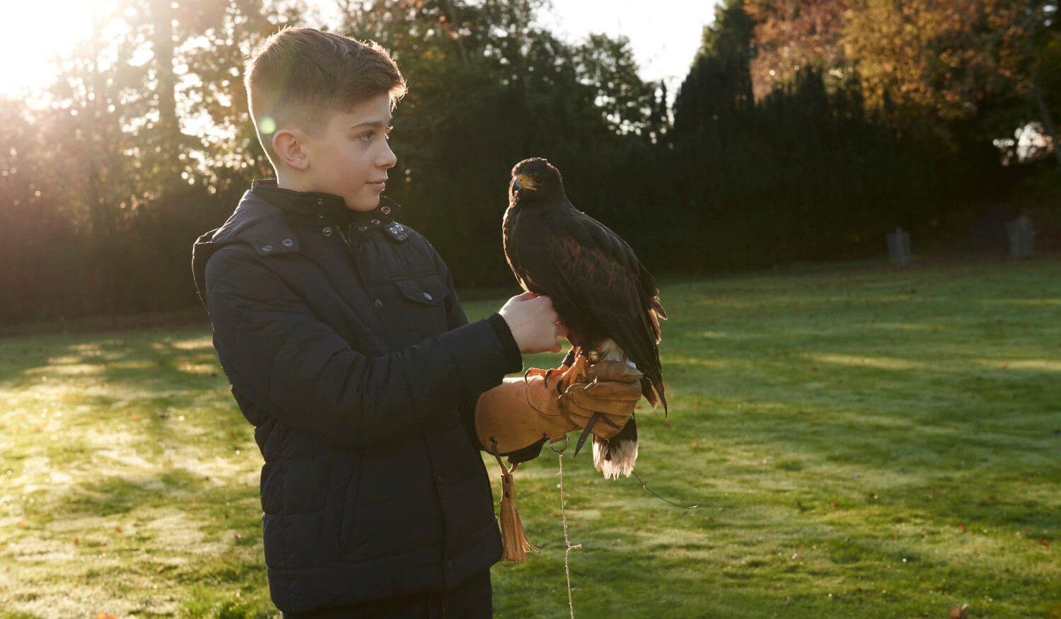 Boy doing Falconry lesson