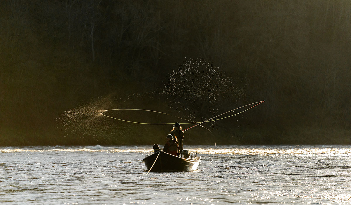 salmon fishing season scotland