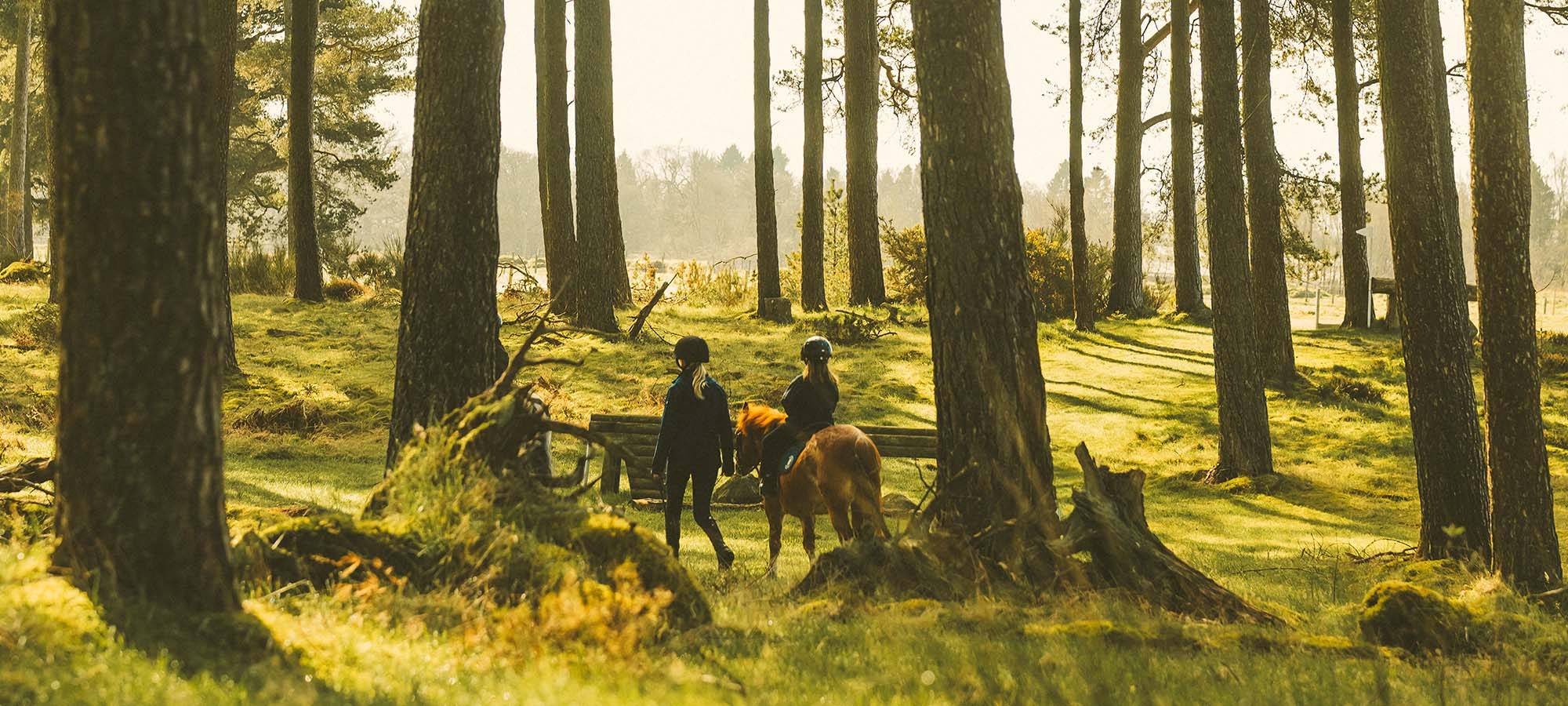 Lush green landscape with focus on young girl on a horse riding lesson