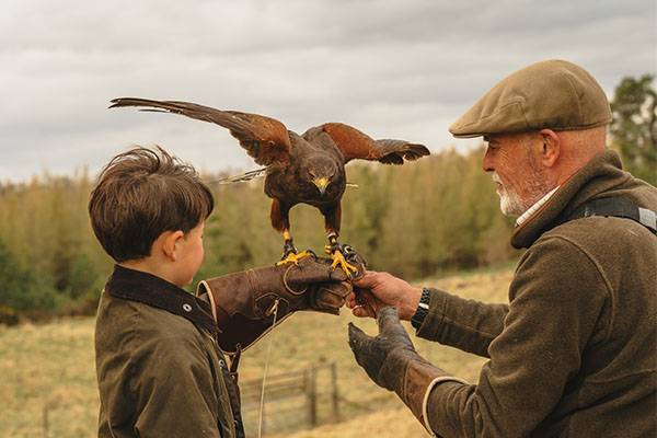 Older man showing young boy how to hold bird on Falconry lesson at Gleneagles