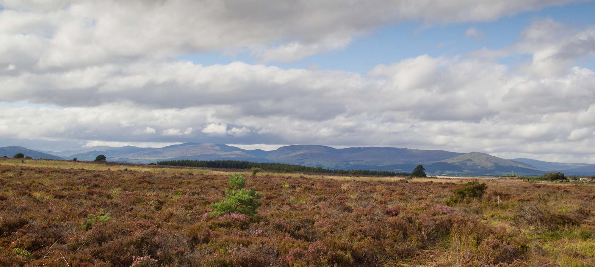 High Moor Shooting Lodge landscape showing hills and greenery